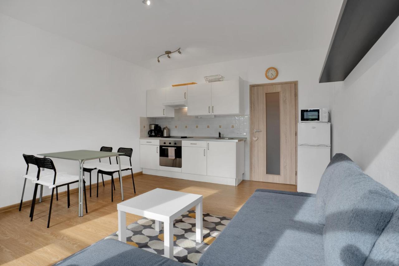Horsky Apartman Klinovec 4 Loucna pod Klinovcem Ngoại thất bức ảnh